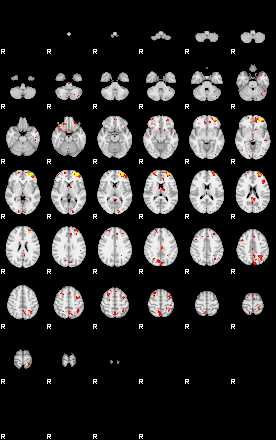 Patient:53;component:149