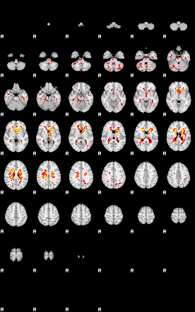 Patient:53;component:153