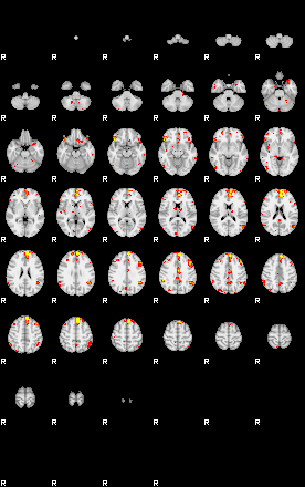 Patient:53;component:155