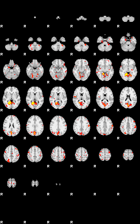 Patient:53;component:161