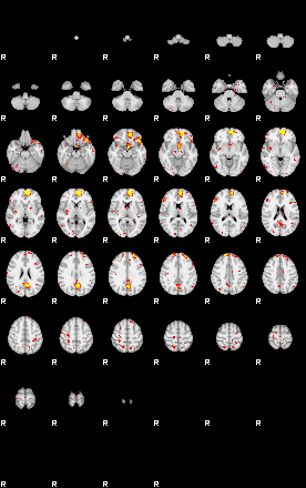 Patient:53;component:164