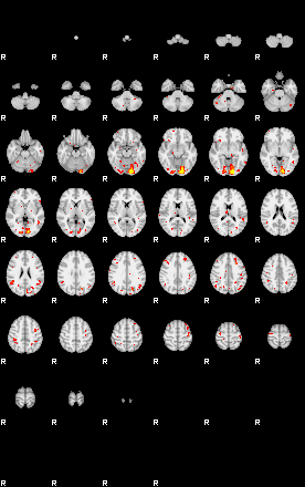 Patient:53;component:171