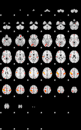 Patient:53;component:178