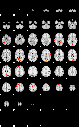 Patient:53;component:181