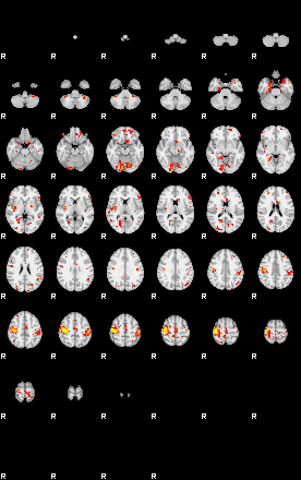 Patient:53;component:185