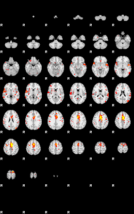 Patient:53;component:194