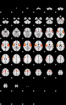 Patient:53;component:195