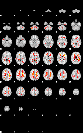 Patient:53;component:197