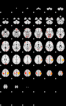 Patient:53;component:21