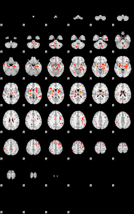 Patient:53;component:39