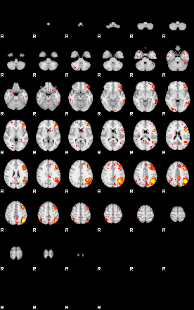 Patient:53;component:42