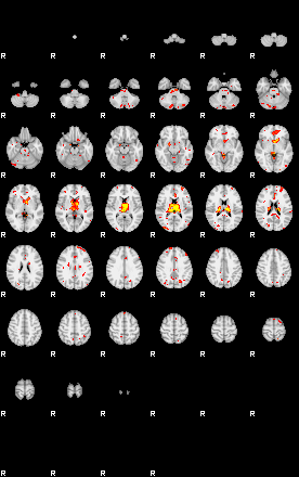 Patient:53;component:47