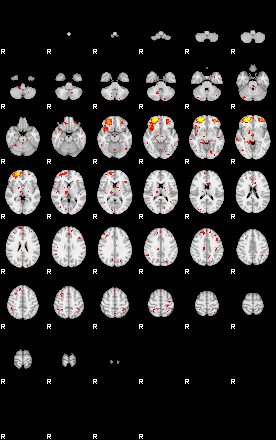 Patient:53;component:48