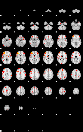 Patient:53;component:7