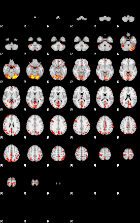 Patient:53;component:78