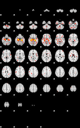 Patient:53;component:79