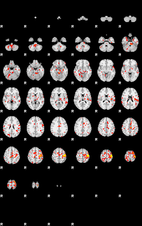 Patient:54;component:101