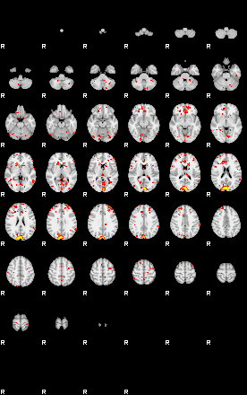 Patient:54;component:102