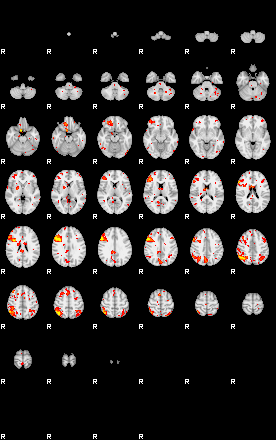 Patient:54;component:119