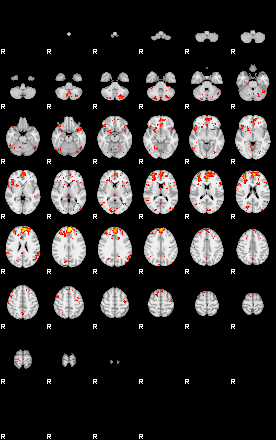 Patient:54;component:155