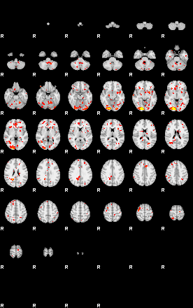 Patient:54;component:172