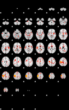 Patient:54;component:178