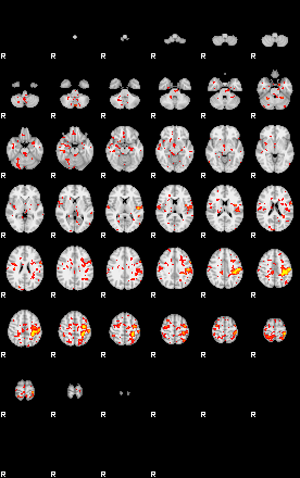 Patient:54;component:21