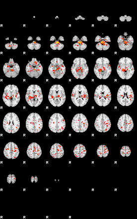 Patient:54;component:32