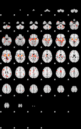 Patient:55;component:129