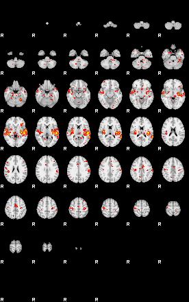 Patient:55;component:140