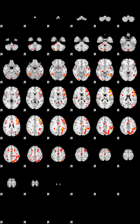 Patient:55;component:141