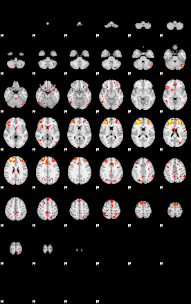 Patient:55;component:146