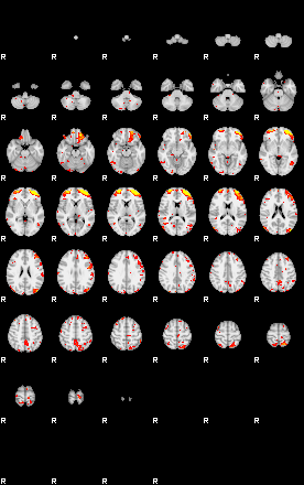 Patient:55;component:149