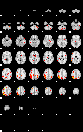 Patient:55;component:36