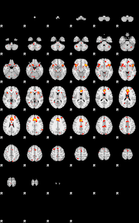 Patient:55;component:81