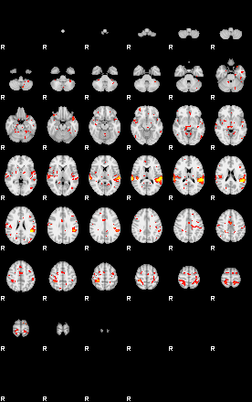 Patient:55;component:83