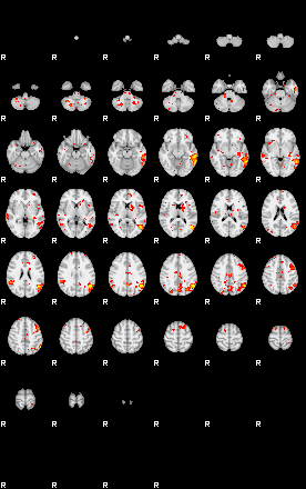 Patient:56;component:10