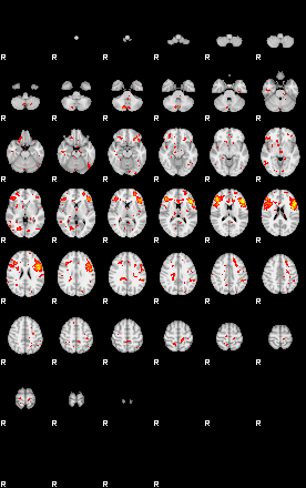 Patient:56;component:109