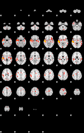 Patient:56;component:120