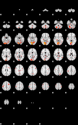 Patient:56;component:126