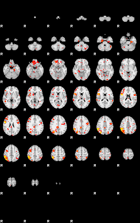 Patient:56;component:138