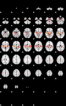 Patient:56;component:159