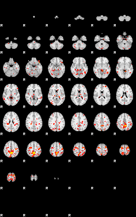 Patient:56;component:164