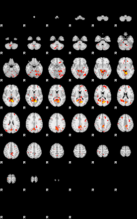 Patient:56;component:5