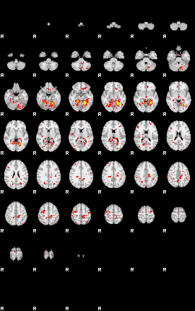 Patient:56;component:69