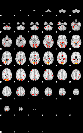 Patient:57;component:102