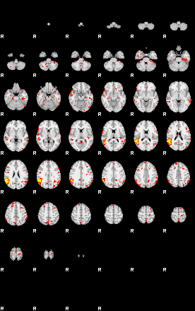 Patient:57;component:142