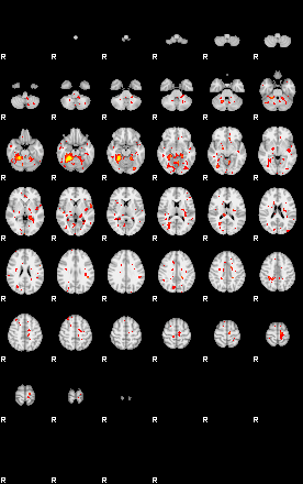 Patient:57;component:82