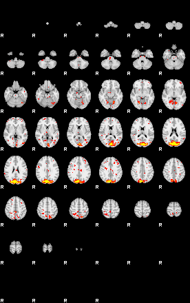 Patient:58;component:102