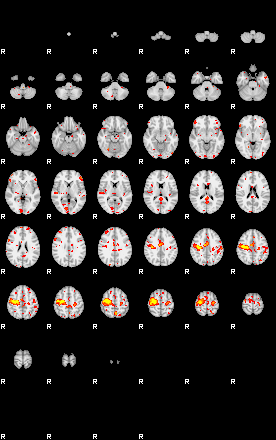 Patient:58;component:104